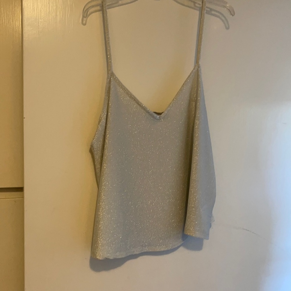 Urban outfitters sparkly cropped top